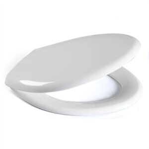 Statite Never Come Loose Toilet Seat